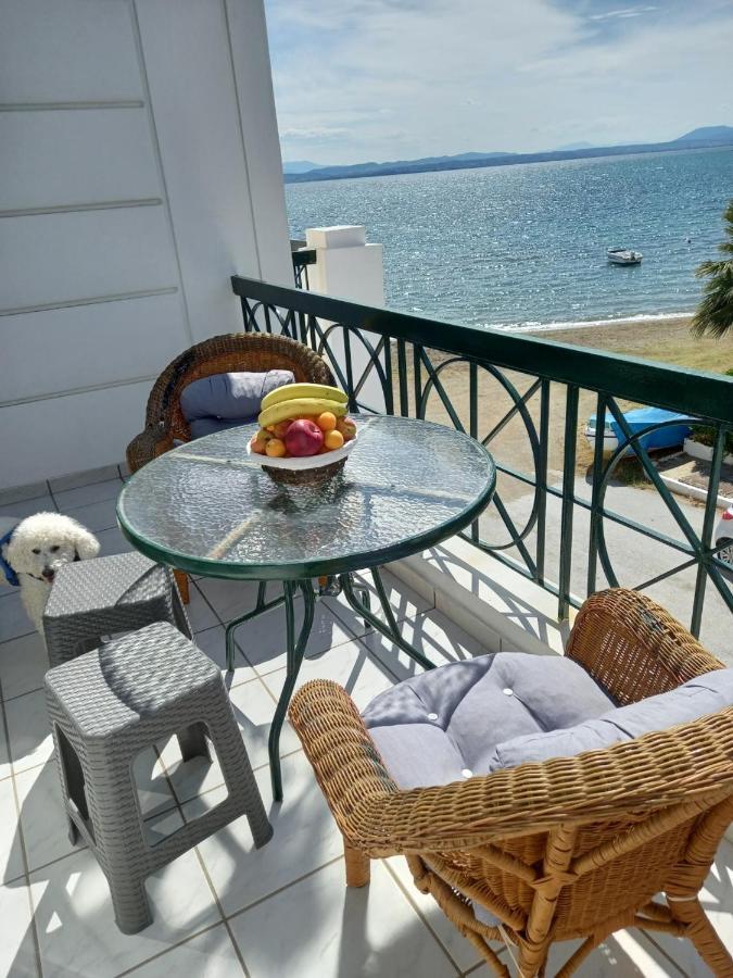 Maria'S Dream House Apartment Eretria  Luaran gambar